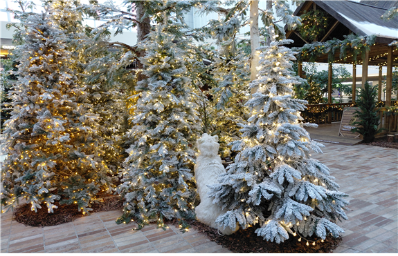 [엄마기자단5기] 미리 즐기는 크리스...